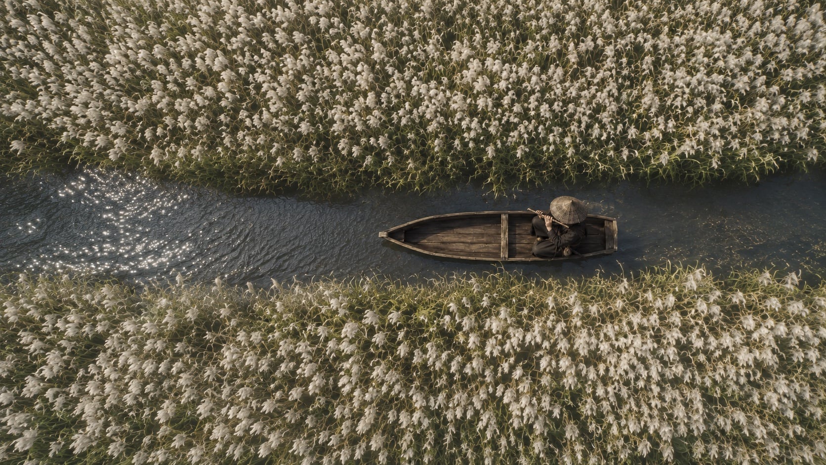 Boat moving through a field of reeds
